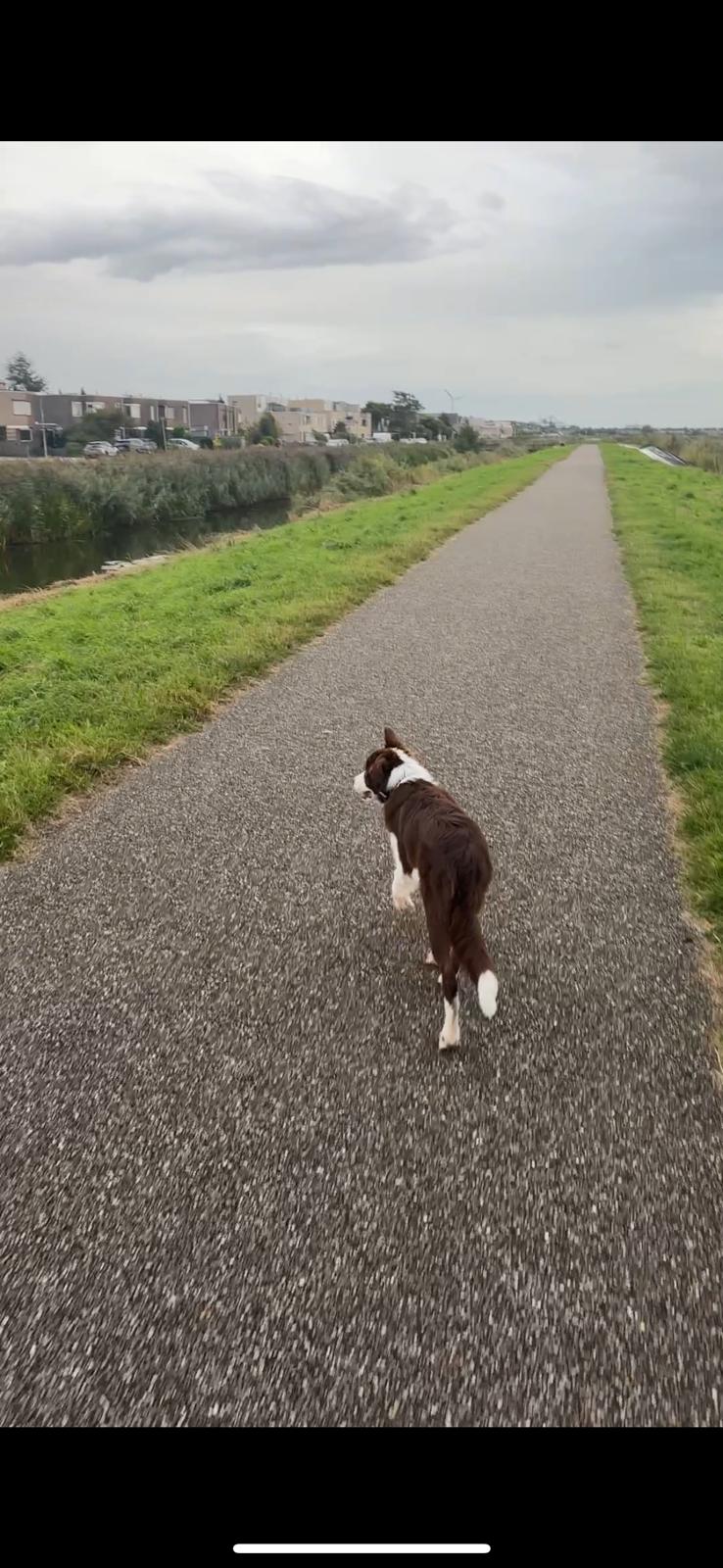 /userfiles/images/anecdotes/68f9f4ffb1d72_WhatsApp Image 2025-10-23 at 11.27.01.jpeg